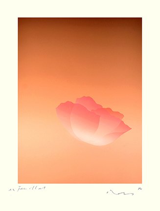 photo38.jpg