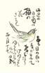 photo58_small.jpg