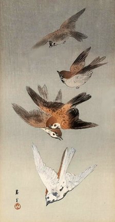 photo38.jpg