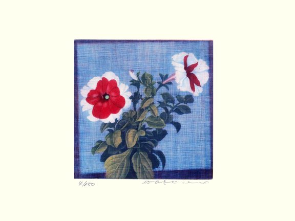 photo58.jpg