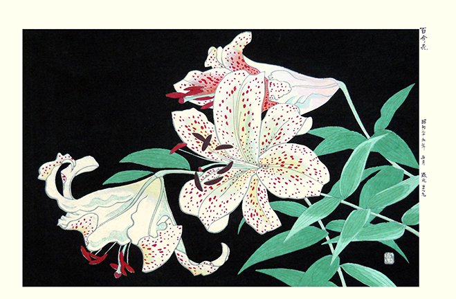 photo56.jpg