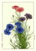 photo8_small.jpg