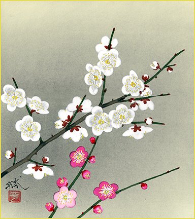 photo15.jpg