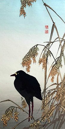 photo11.jpg