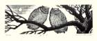 photo33_small.jpg