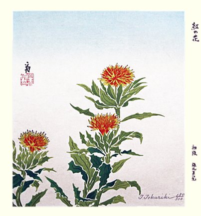 photo86.jpg