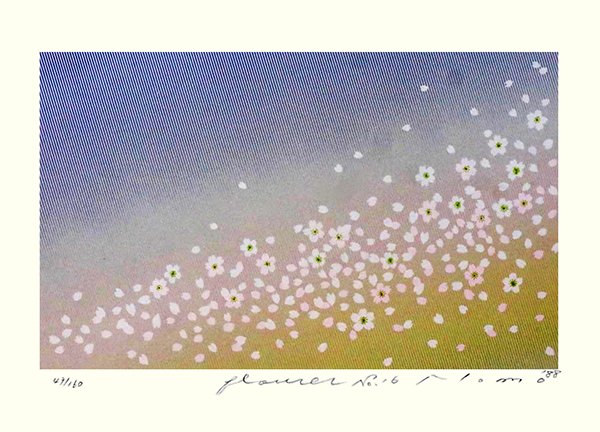 photo106.jpg