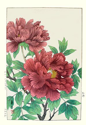 photo108.jpg