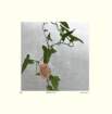 photo18_small.jpg