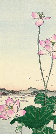 photo51.jpg