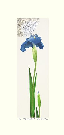 photo53.jpg