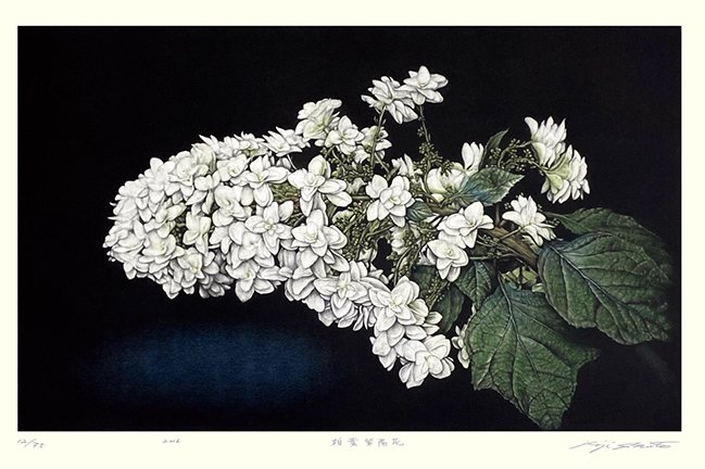 photo68.jpg