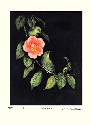 photo39.jpg