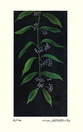photo52.jpg
