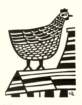 photo76_small.jpg