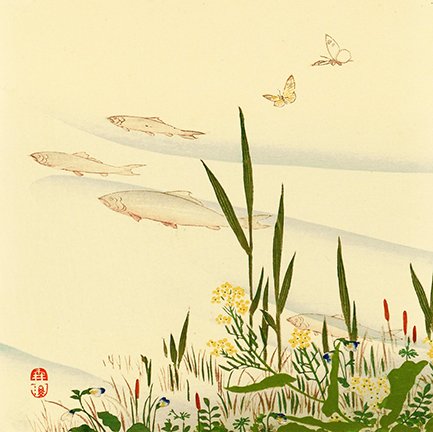 photo85.jpg