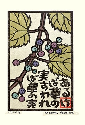 photo43.jpg