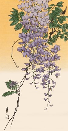 photo5.jpg