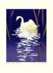 photo60_small.jpg