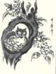 photo81_small.jpg